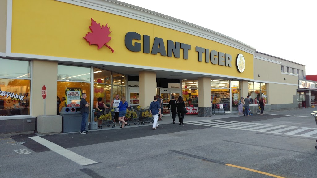 Giant Tiger | 1512 Merivale Rd, Nepean, ON K2G 3J6, Canada | Phone: (613) 225-7558