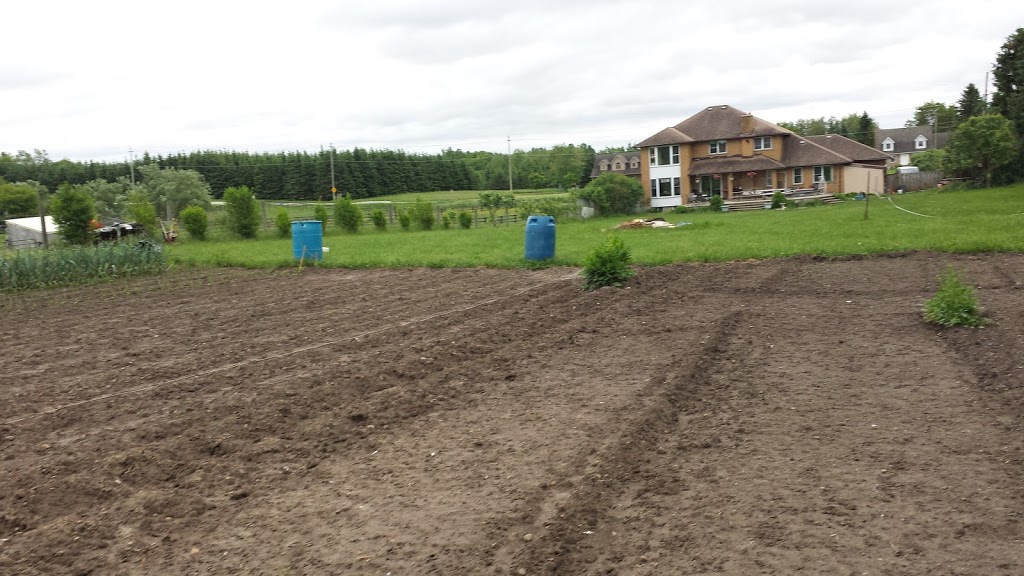 Willow Way Farm | 3887 Weimar Line, Wellesley, ON N0B 2T0, Canada | Phone: (519) 502-1010