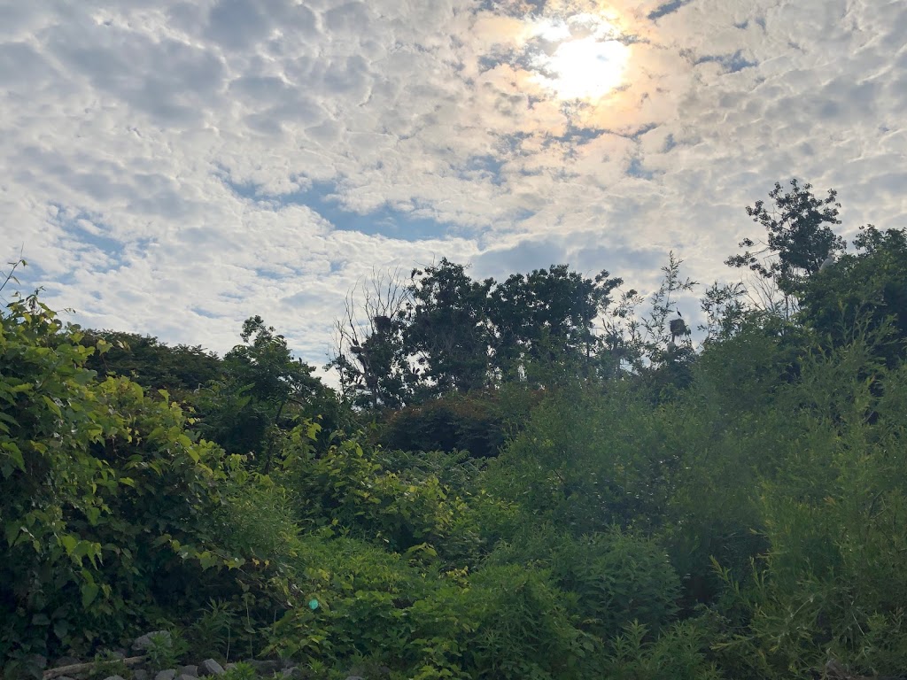 Beaver Island Kayak Launch | Unnamed Road, Grand Island, NY 14072, USA