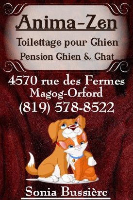 Anima-Zen Toilettage de chien et Pension pour chien & chat | 4570 Rue des Fermes, Orford, QC J1X 7L9, Canada | Phone: (819) 578-8522