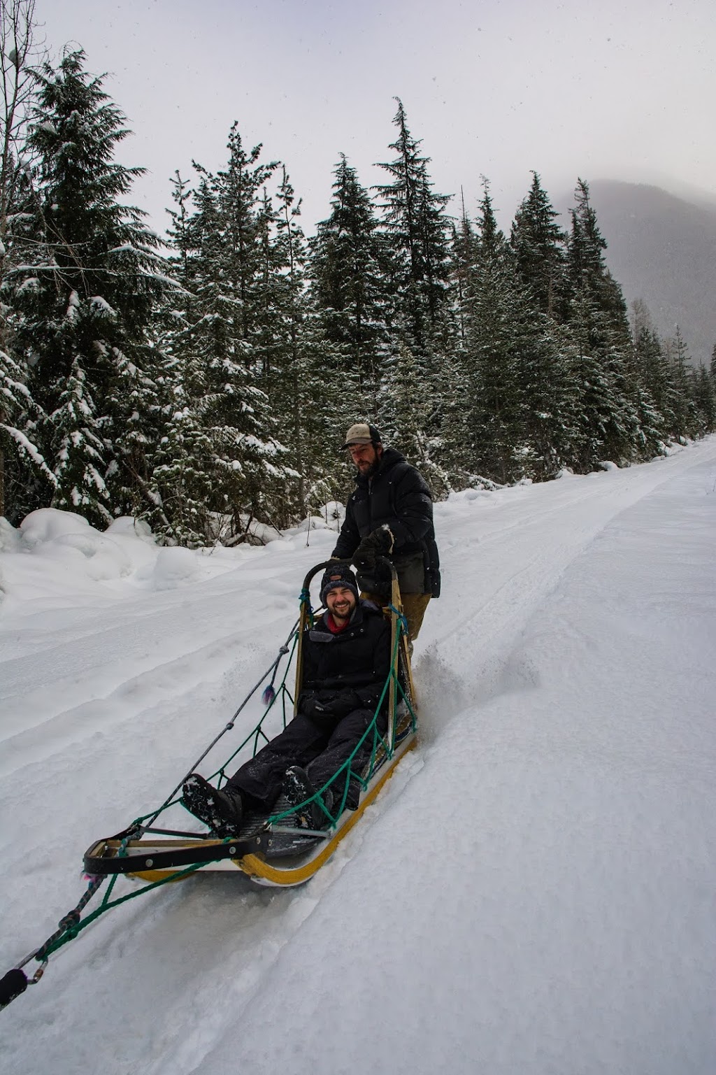 Revelstoke Dogsled Adventures | 1416 Mt Begbie Rd, Revelstoke, BC V0E 3K0, Canada | Phone: (250) 814-3720