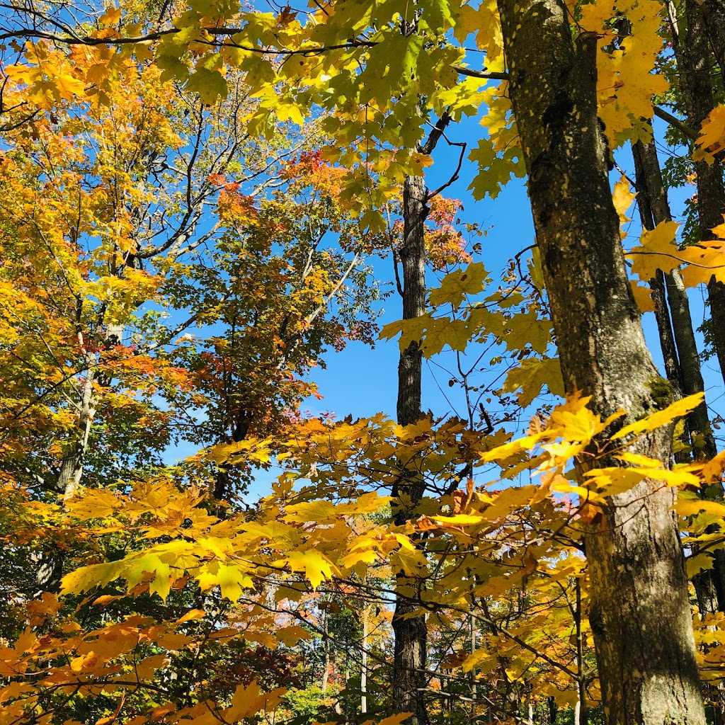 Dorset Lookout Tower | 1191 Dorset Scenic Tower Rd, Dwight, ON P0A 1H0, Canada | Phone: (705) 766-1032