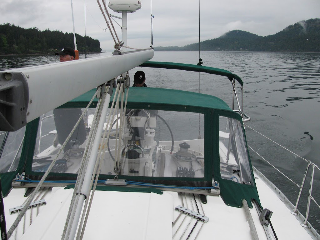 Blackfish Sailing Adventures | 1327 Beach Dr, Victoria, BC V8S 2N6, Canada | Phone: (250) 744-0409