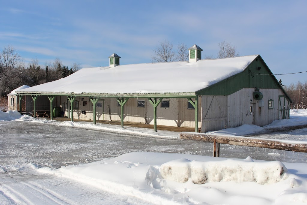 Écurie Au Chêne Rouge | 1034 Rue Gaudar, Québec, QC G3J 0B7, Canada | Phone: (581) 307-8676