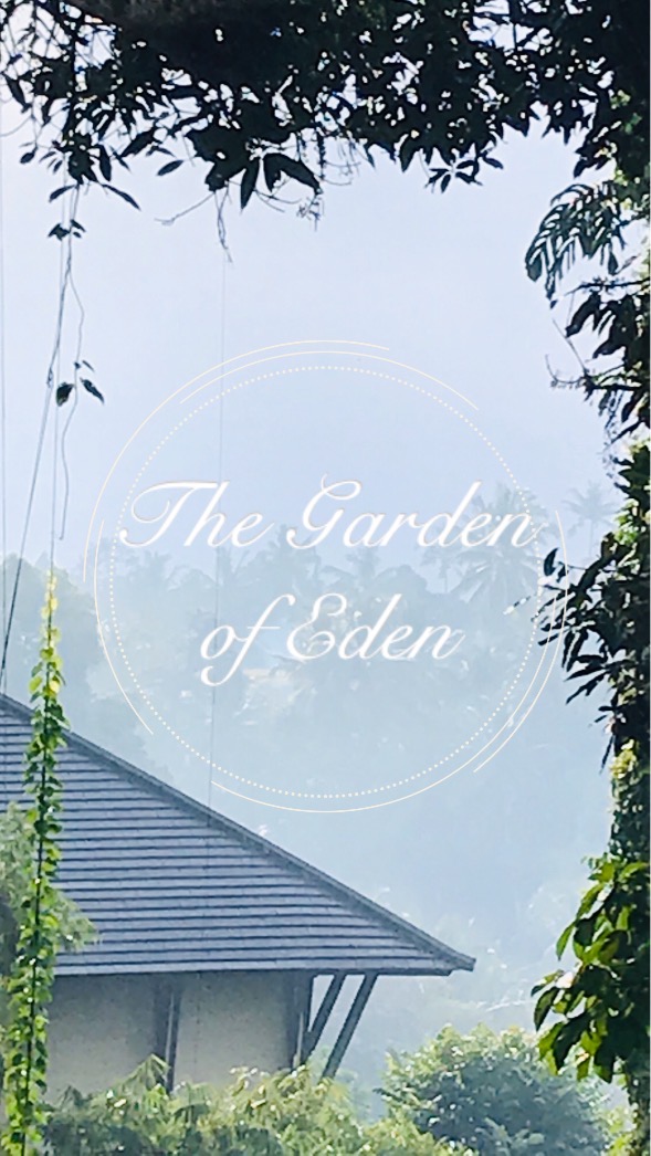 The Garden of Eden - House of Healing | 4165 Jefton Crescent, Mississauga, ON L5L 1Z2, Canada | Phone: (647) 906-7001