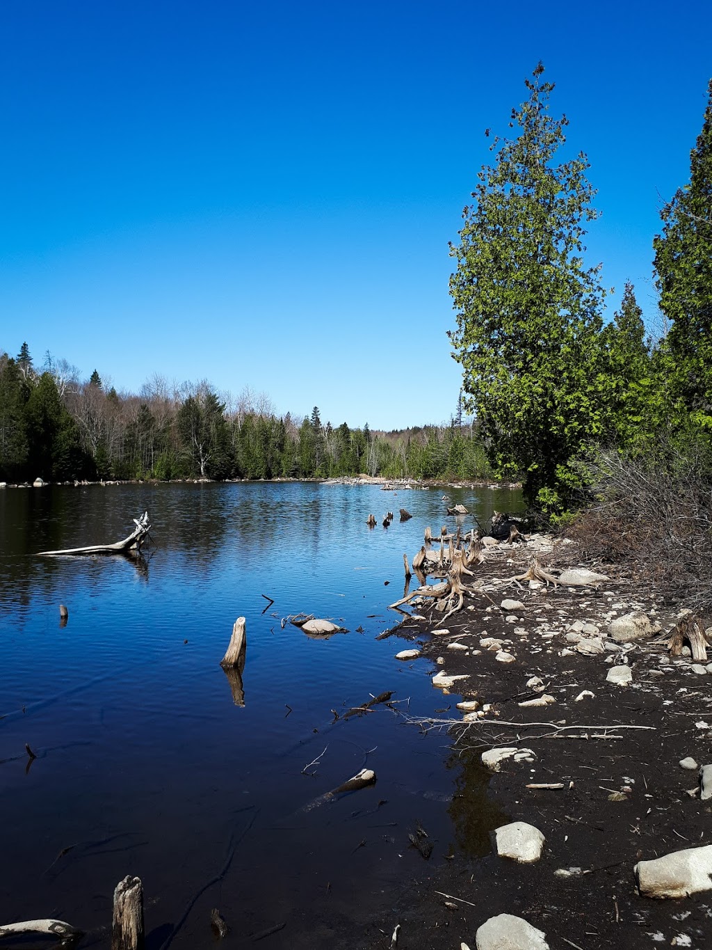 Beauréal Réserve Naturelle | 2777A Chemin Mcgill, Sainte-Julienne, QC J0K 2T0, Canada | Phone: (514) 992-3886