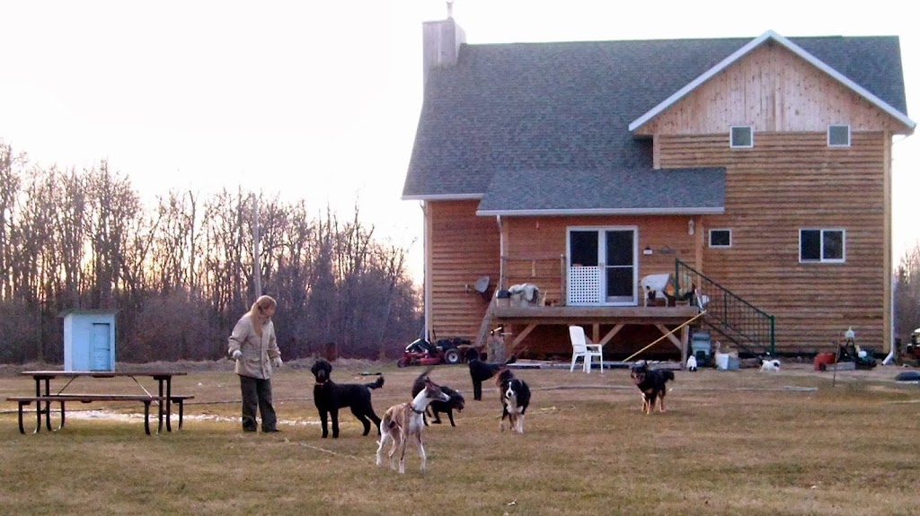 Dog Creek Spa & Kennel | SE 5-8-15E, box 115, Falcon Lake, MB R0E 0N0, Canada | Phone: (204) 426-2248