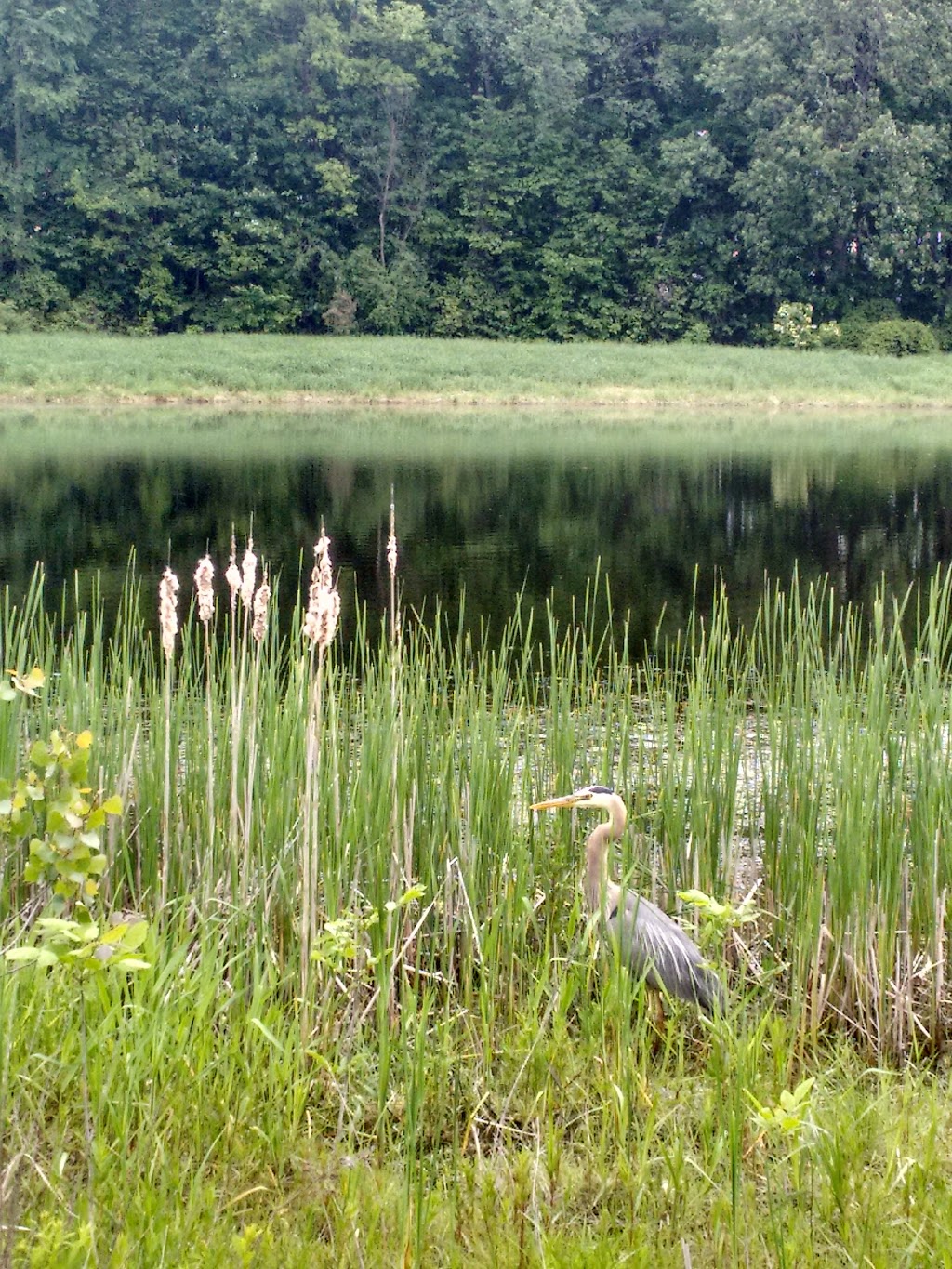 Monk Environmental Park | South March, Ottawa, ON K2K 1X7, Canada