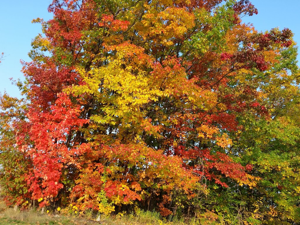 Sandringham Park | Barrie, ON L4N 0Y9, Canada