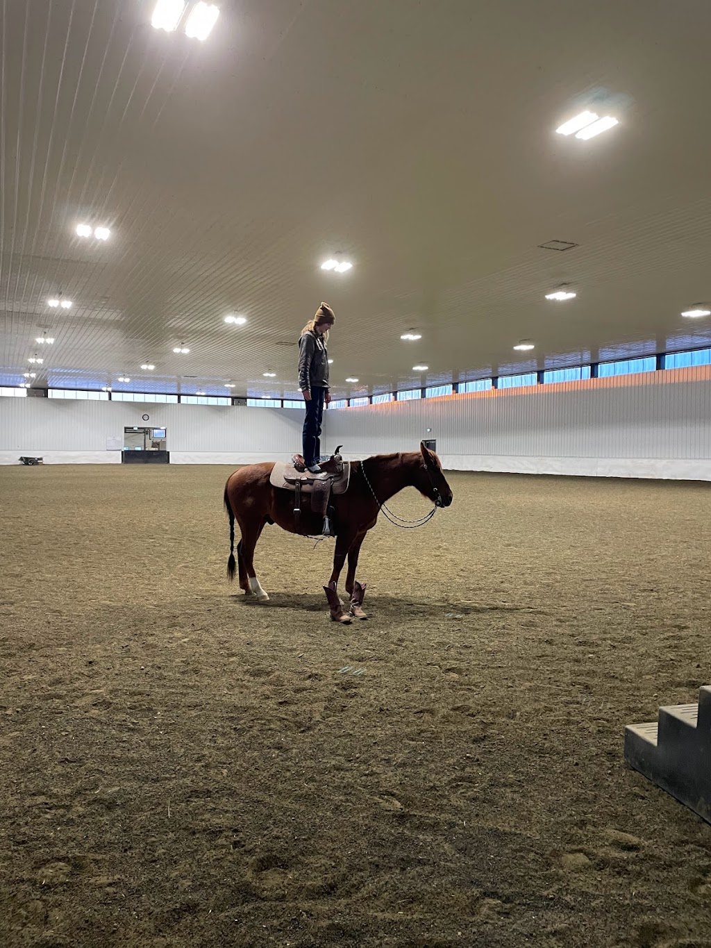 Parkland Equestrian Centre | 53128 Range Rd 21, Parkland County, AB T7Y 2G9, Canada | Phone: (780) 996-6737