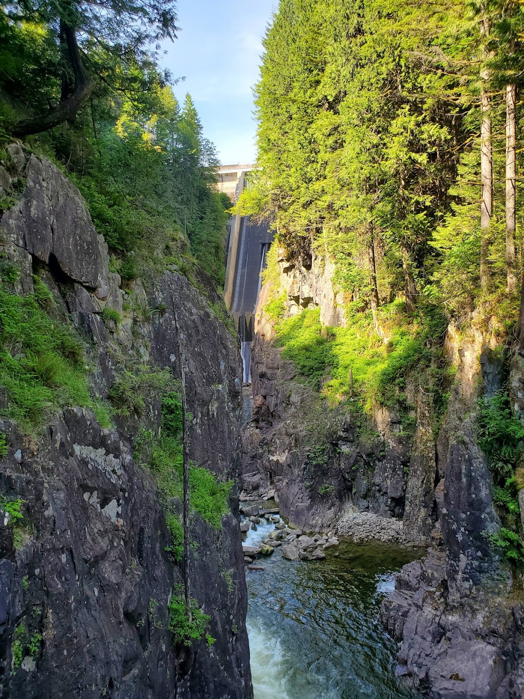 Capilano River Hatchery | 4500 Capilano Park Rd, North Vancouver, BC V7R 4L3, Canada | Phone: (604) 666-1790