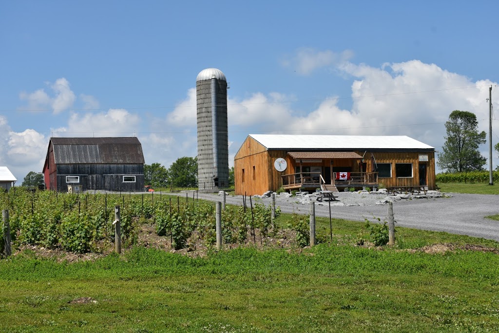 Terra Estate Winery Inc. | 896 Lakeside Dr, Consecon, ON K0K 1T0, Canada | Phone: (416) 509-5594
