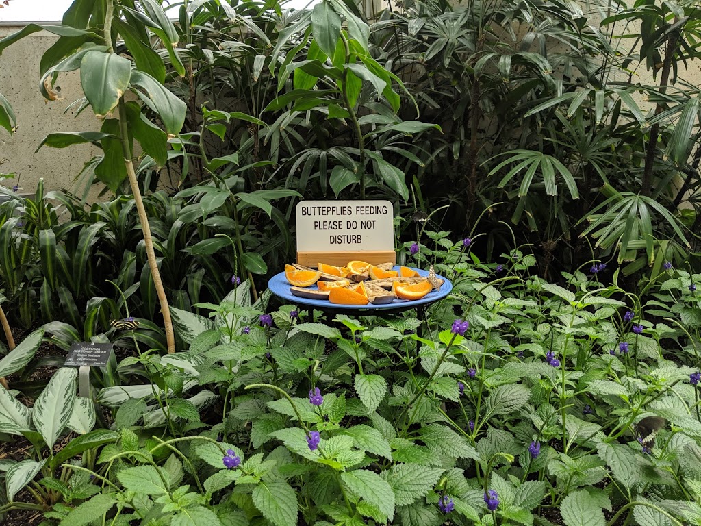 Butterfly Conservatory Visitors Parking | Unnamed Road, Niagara Falls, ON L2E, Canada