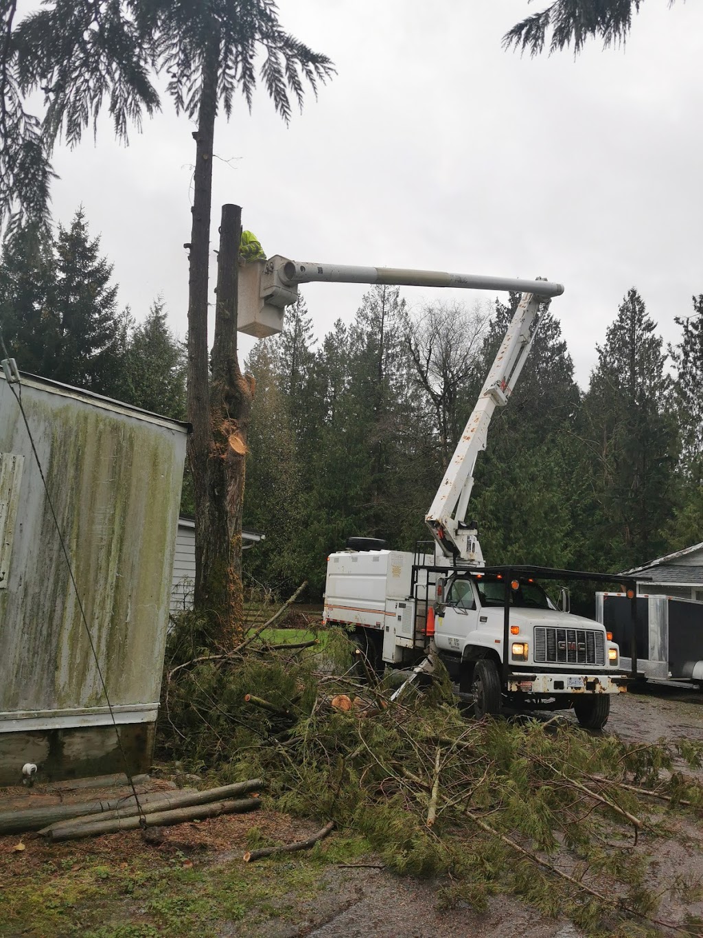 Mid Valley Tree Services | 2613 264 St, Aldergrove, BC V4W 2V5, Canada | Phone: (604) 791-8733