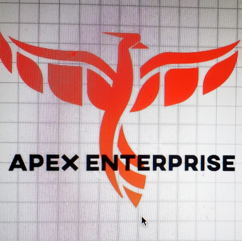 Apex Enterprise (Electrical Contractors) | 43 Flavian Crescent, Brampton, ON L6T 3P2, Canada | Phone: (647) 302-3543