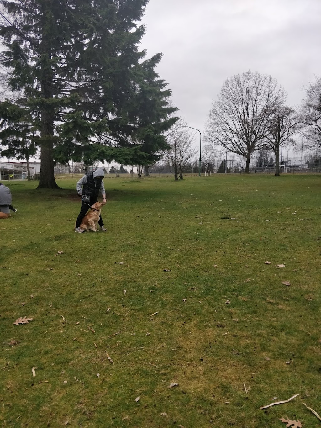 K9 Best Behaviour Dog Training | 4149 Dundas St, Burnaby, BC V5C 1A9, Canada | Phone: (778) 319-3647