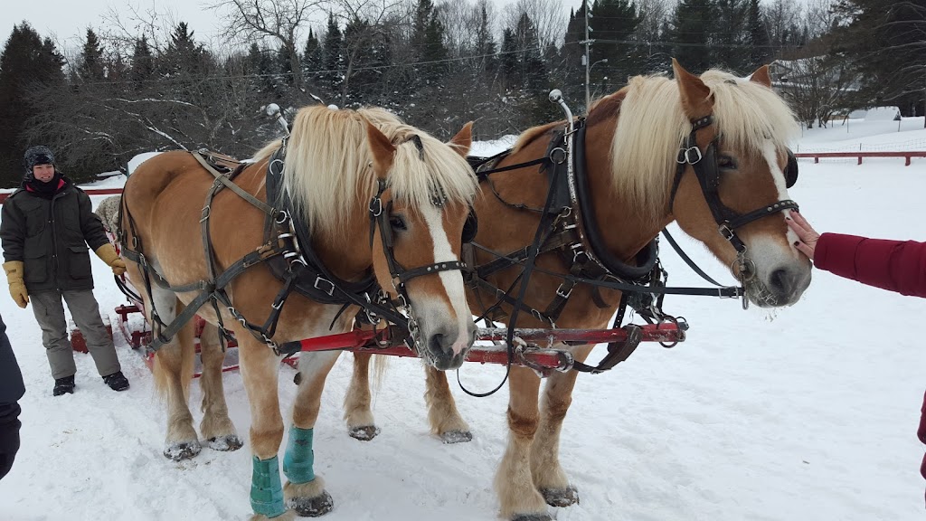 La Ferme Duquette | 1315 Chem. du 10 Rang, Val-David, QC J0T 2N0, Canada | Phone: (819) 322-3829