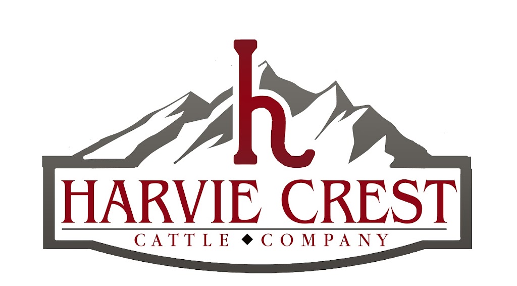 Harvie Crest Cattle | 51°4159.1"N 114°1816.5"W, Olds, AB T4H 1P3, Canada | Phone: (403) 586-4278