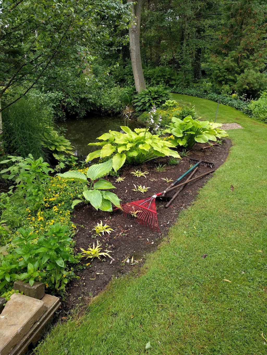 Hostas Anytime | 16 McAllister Dr, Bloomingdale, ON N0B 1K0, Canada | Phone: (519) 576-9407