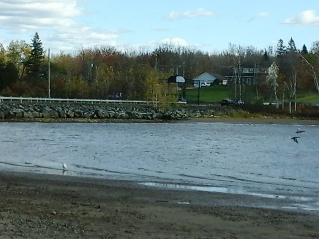 Middle Island Irish Historical Park | 2345 Water St, Miramichi, NB E1N 3A8, Canada | Phone: (506) 773-7505