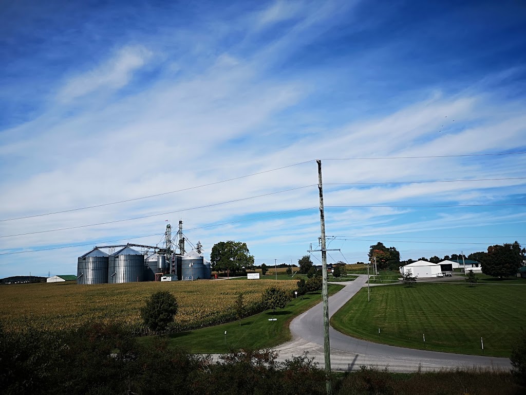 Northumberland Grain | 7142 County Rd 2, Cobourg, ON K9A 4J7, Canada | Phone: (905) 885-9400