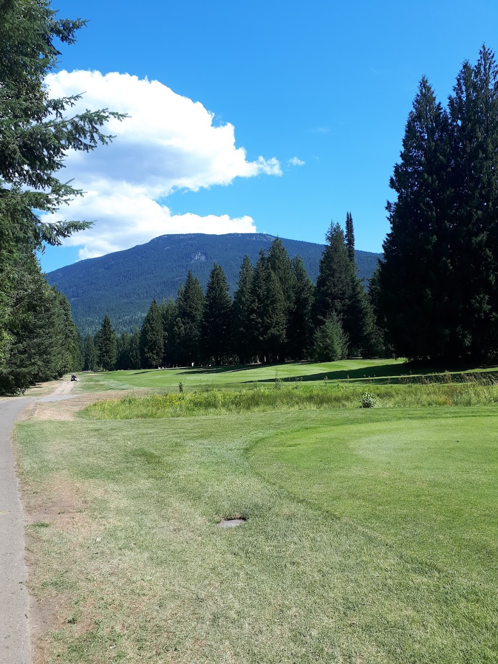 Revelstoke Golf Club Maintenance | 81 Hamilton Dr, Revelstoke, BC V0E 2S0, Canada | Phone: (250) 837-5000