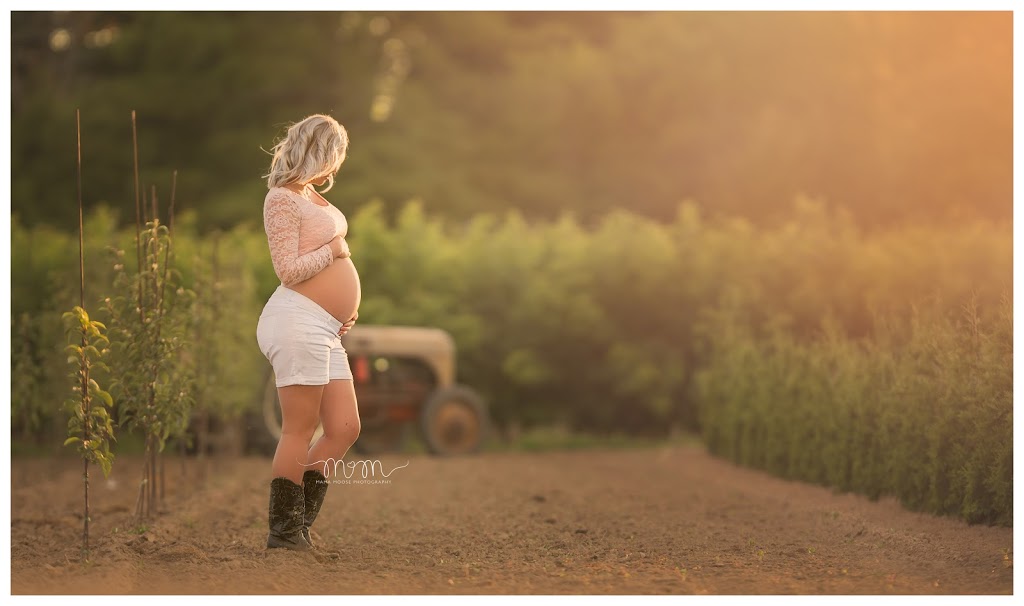 Mama Moose Photography | 22 Concession Rd 14 E, Puslinch, ON N0B 2J0, Canada | Phone: (416) 455-0426