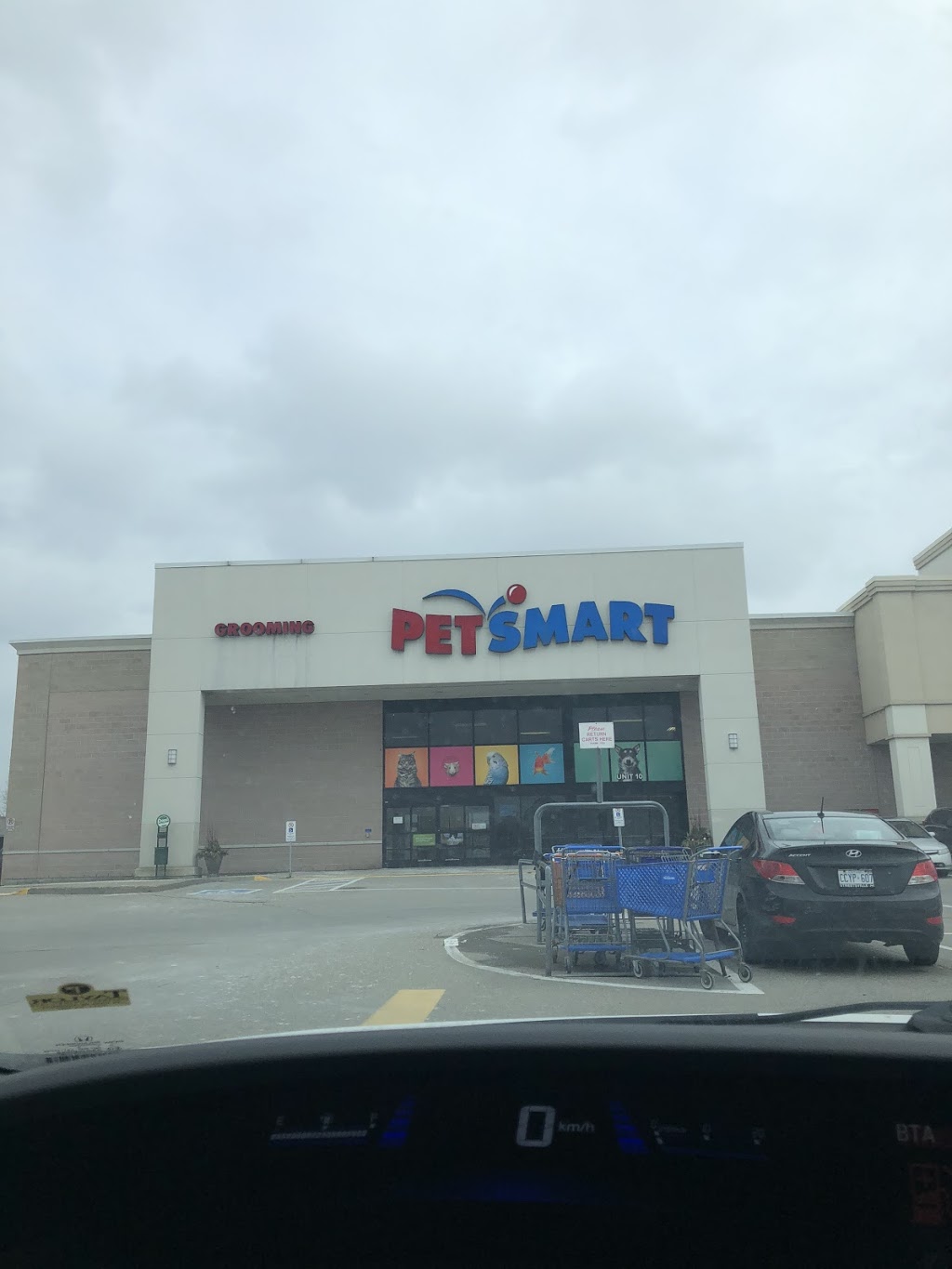 PetSmart | 9065 Airport Rd, Brampton, ON L6S 0B8, Canada | Phone: (905) 789-0384