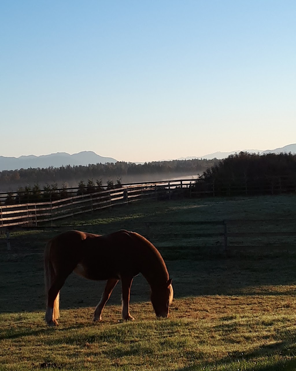 Cornwall Ridge Farm | 21955 16 Ave, Langley, BC V2Z 1K5, Canada | Phone: (604) 304-0201