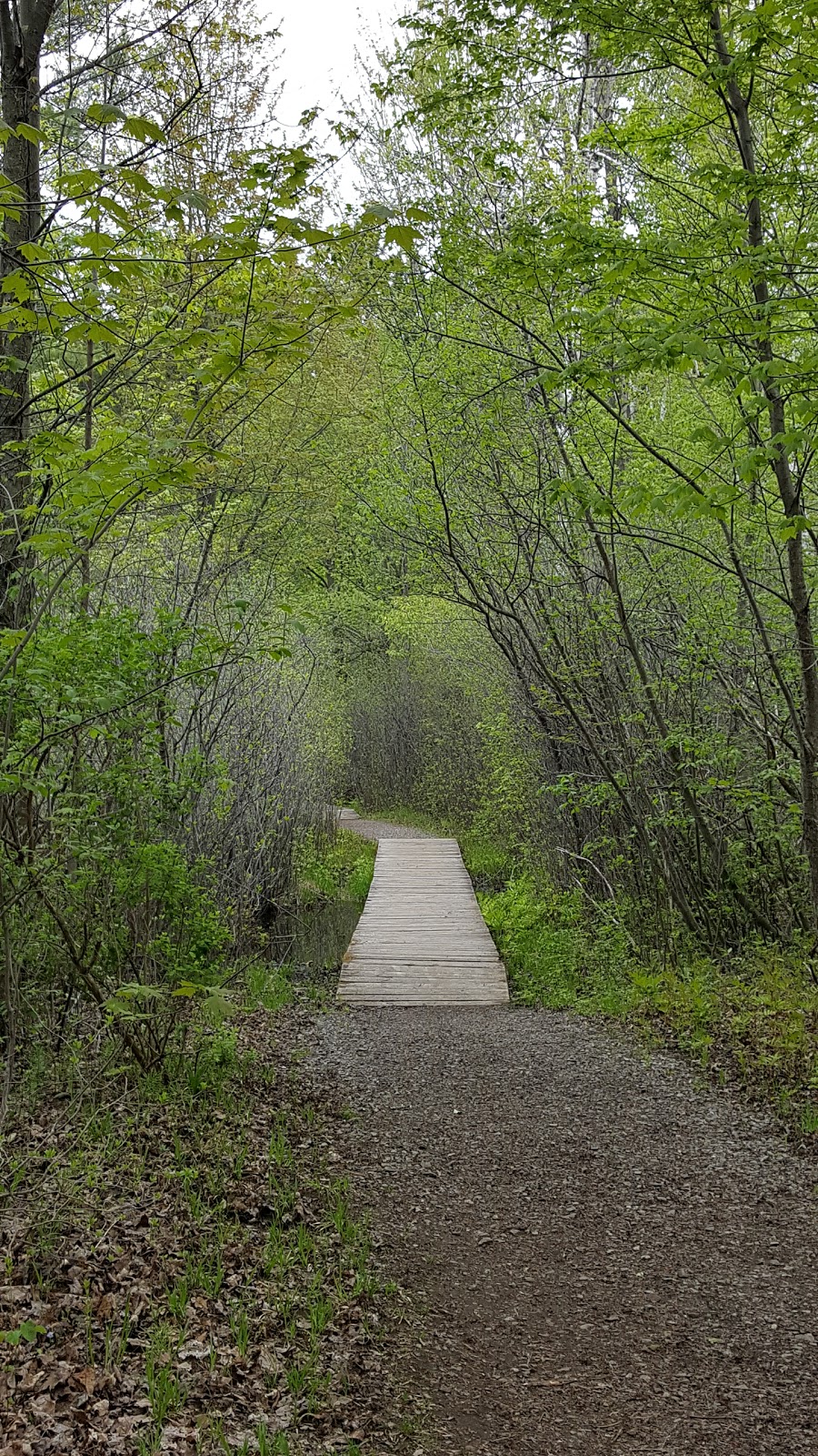 Pine Grove Trail | Davidson Rd, Gloucester, ON K1A 0K4, Canada