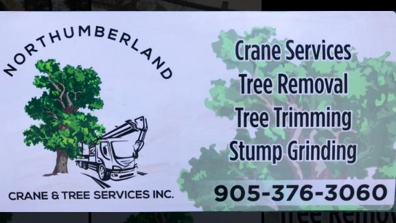 Northumberland Crane and Tree Services Inc. | 9281 Danforth Rd E, Cobourg, ON K9A 4J8, Canada | Phone: (905) 376-3060