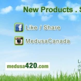 Medusa 420 | 525 Mohawk Rd E, Hamilton, ON L8V 2J5, Canada | Phone: (289) 674-1774