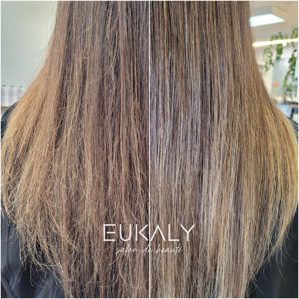 Eukaly | 16835 Av. Saint-Louis, Saint-Hyacinthe, QC J2T 3G4, Canada | Phone: (450) 821-1093