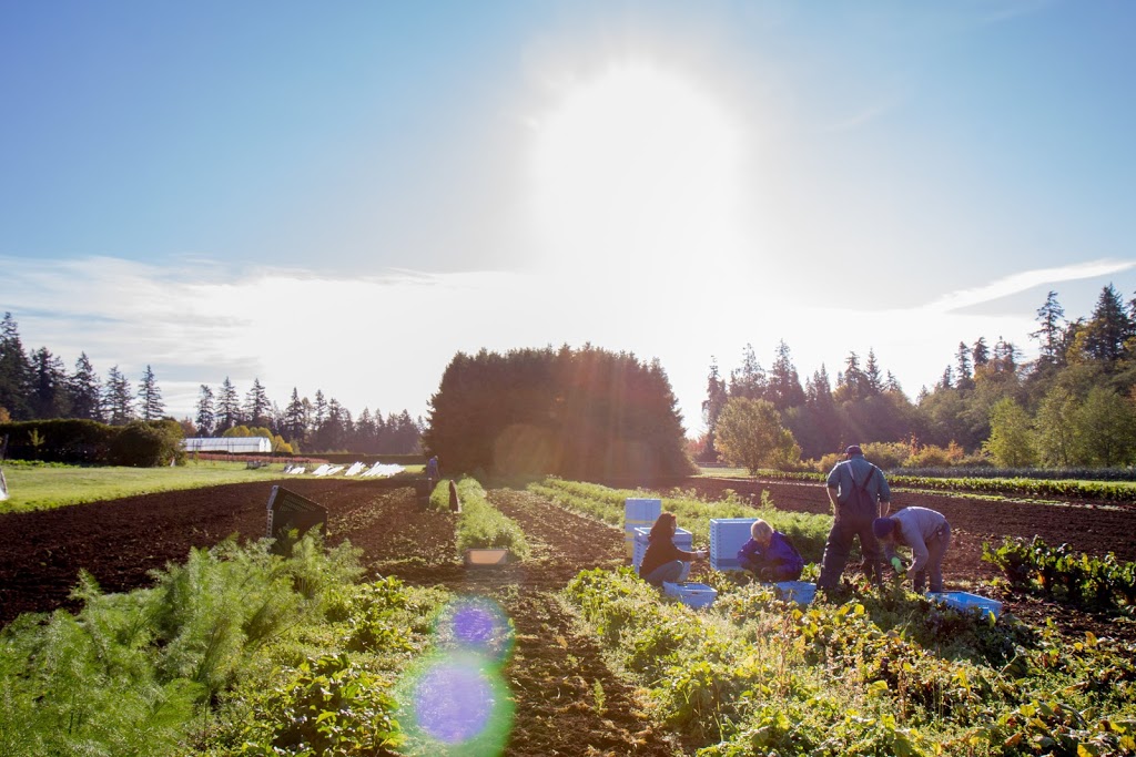 UBC Faculty of Land and Food Systems | 2357 Main Mall, Vancouver, BC V6T 1Z4, Canada | Phone: (604) 822-1219