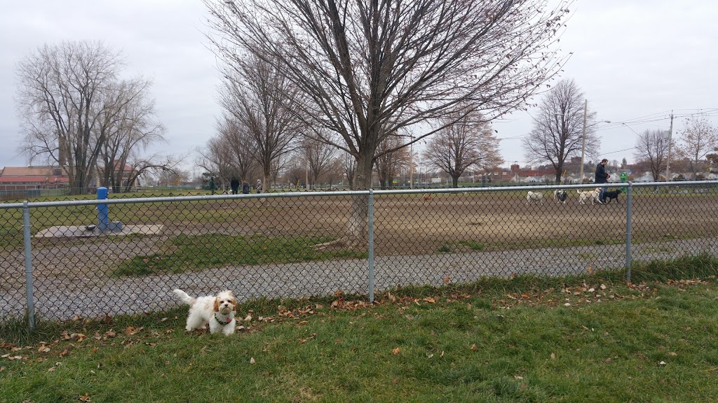 The Barkyard - Off-Leash Dog Park | D A R Dr, Buffalo, NY 14202, USA | Phone: (716) 218-0303