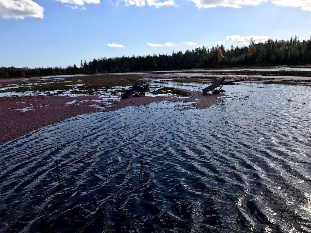 Terra Beata Farms | 161 Monk Point Rd, Lunenburg, NS B0J 2C0, Canada | Phone: (902) 634-4435