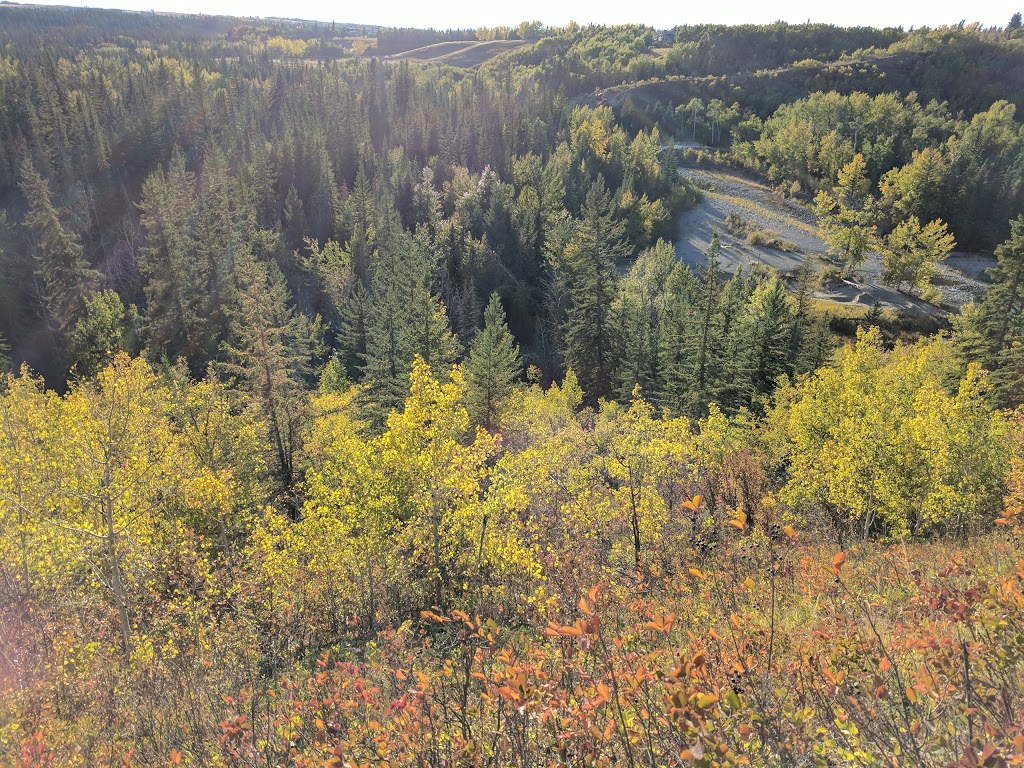 Fish Creek Provincial Park: Shaws Meadow | 114 R Shawnee Pl SW, Calgary, AB T2Y 1X1, Canada | Phone: (403) 297-5293