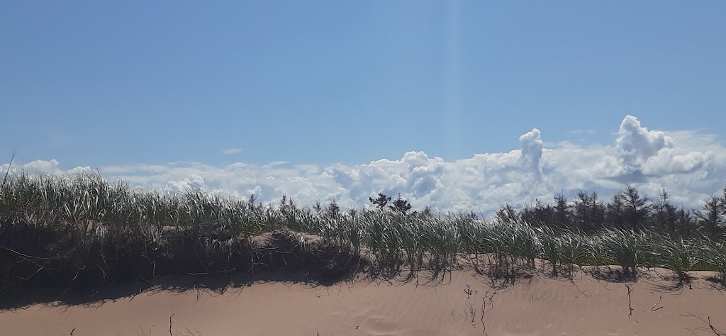 Shaws Beach, Prince Edward Island National Park | 2300 Gulf Shore Pkwy E, York, PE C0A 1P0, Canada | Phone: (902) 672-6350