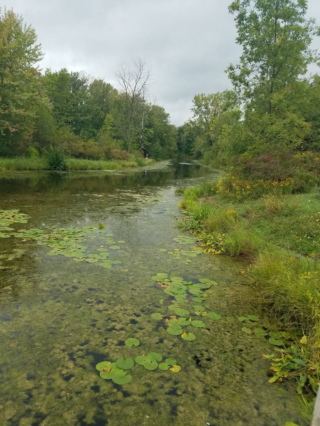 Woods Creek Kayak Launch | Grand Island, NY 14072, USA