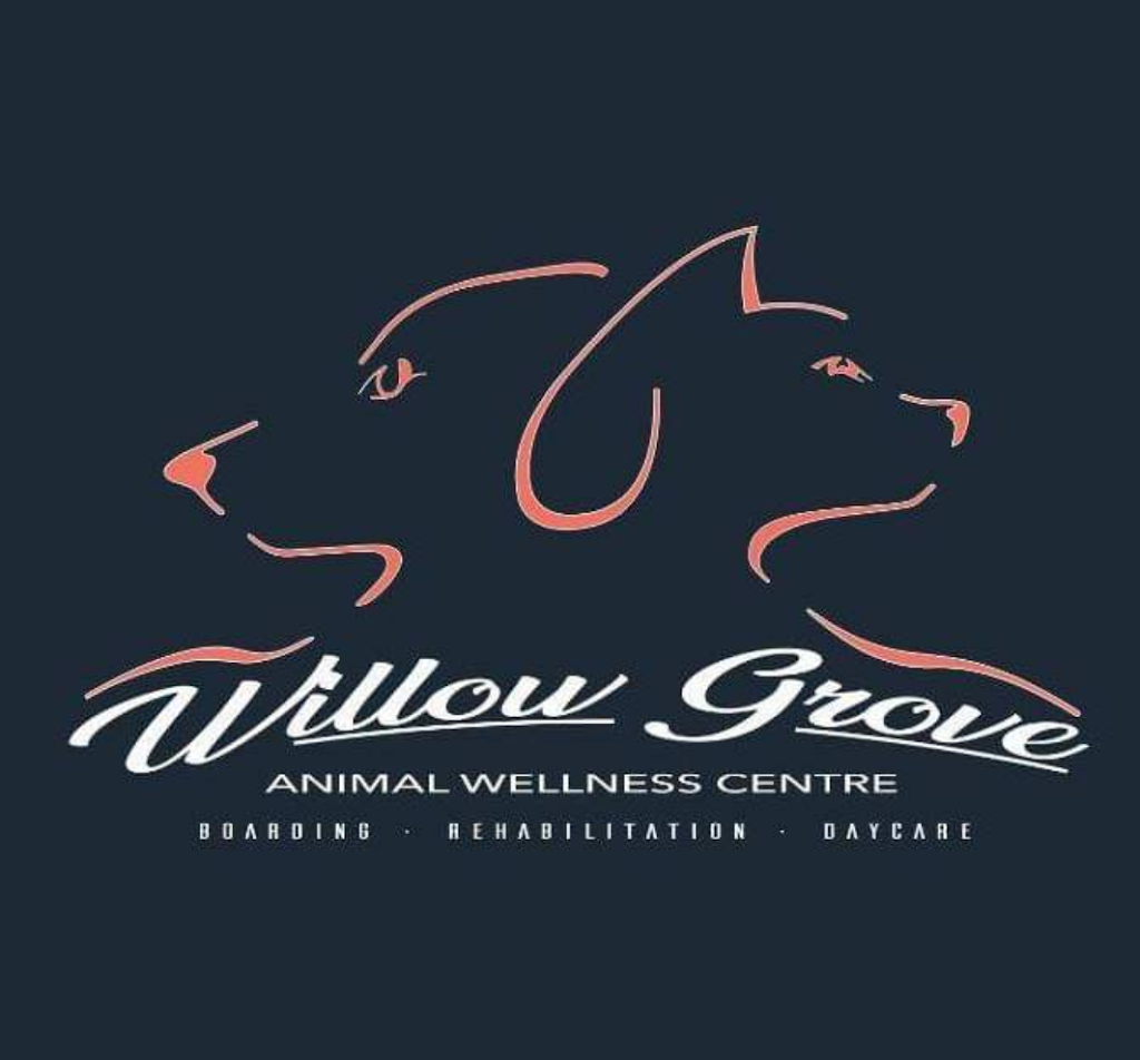 Willow Grove Animal Wellness Centre | 814973 Muir Rd N, Princeton, ON N0J 1V0, Canada | Phone: (519) 532-6388