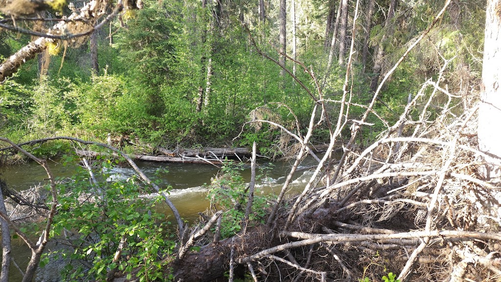 Cherry Creek Rest Area | Kimberley Hwy, Kimberley, BC V1A 3L5, Canada | Phone: (800) 663-7867