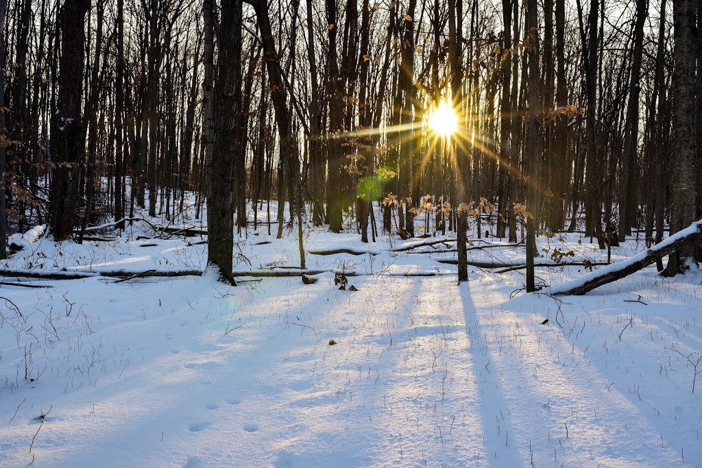 Monk Environmental Park | South March, Ottawa, ON K2K 1X7, Canada