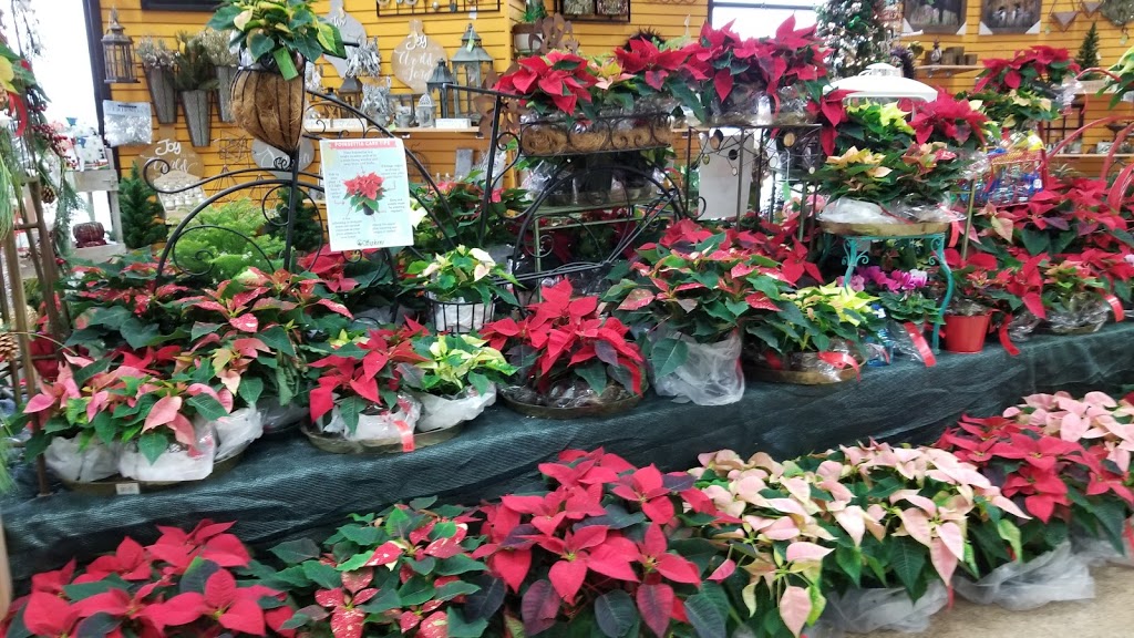 Sipkens Nurseries | 3261 London Line, Wyoming, ON N0N 1T0, Canada | Phone: (519) 542-8353