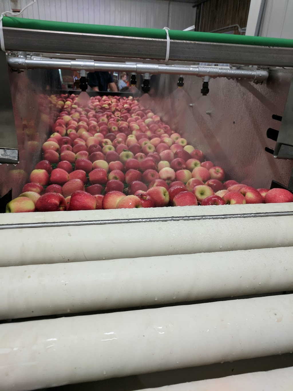 DeVries Fruit Farm | 825 Canboro Rd, Fenwick, ON L0S 1C0, Canada | Phone: (905) 892-8724