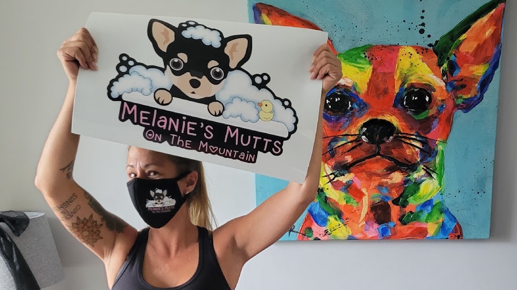 Melanie’s Mutts On The Mountain | E 17th St, Hamilton, ON L9A 4M1, Canada | Phone: (647) 705-5834