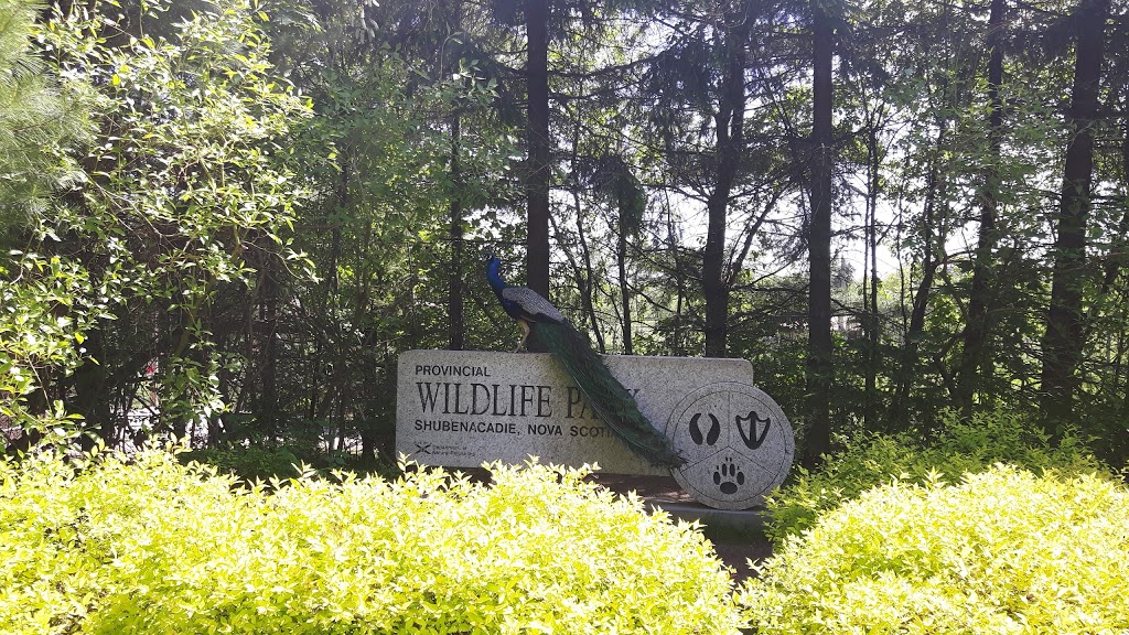 Shubenacadie Provincial Wildlife Park | 149 Creighton Rd, Shubenacadie, NS B0N 2H0, Canada | Phone: (902) 758-2040