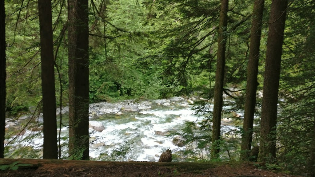 Lynn Canyon Bouldering Field | Lynn Valley Rd, North Vancouver, BC V7K 2T5, Canada