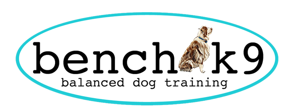 Bench K9 Dog Training | 7 St Andrews Ave, Grimsby, ON L3M 3R9, Canada | Phone: (905) 327-0419