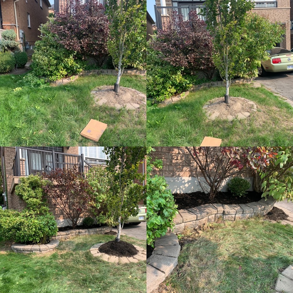 Noahs lawn care | Chardonnay Dr, Vaughan, ON L4J 8S4, Canada | Phone: (416) 357-0225