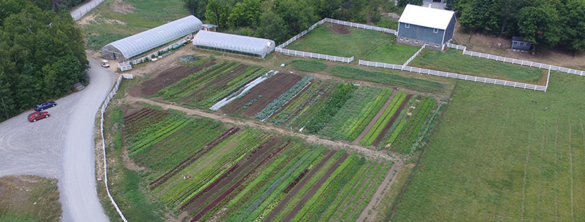 Curries Corner Farm | 116 Bethune Rd N, Huntsville, ON P1H 2J2, Canada | Phone: (705) 909-0080